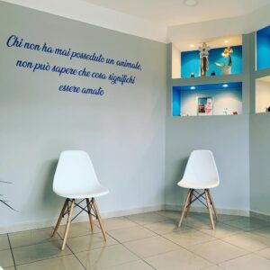 centro-veterinario-san-francesco-spoltore2