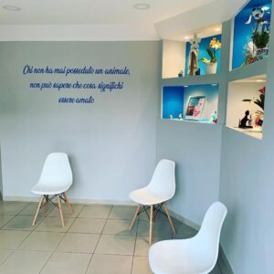 centro-veterinario-san-francesco-spoltore3