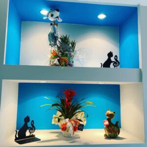 centro-veterinario-san-francesco-spoltore5
