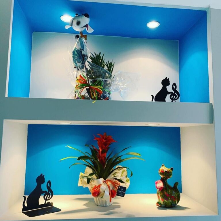 centro-veterinario-san-francesco-spoltore5