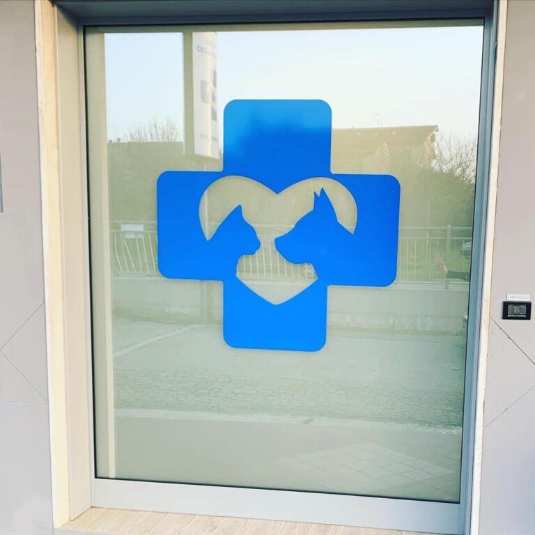 centro-veterinario-san-francesco-spoltore6