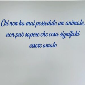 centro-veterinario-san-francesco-spoltore7